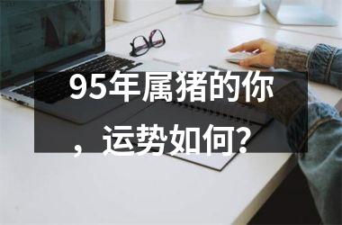 95年属猪的你，运势如何？