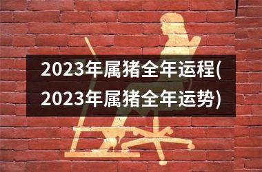 2025年属猪全年运程(2025年属猪全年运势)