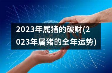 2025年属猪的破财(2025年属猪的全年运势)