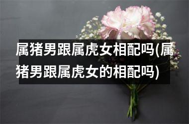 属猪男跟属虎女相配吗(属猪男跟属虎女的相配吗)