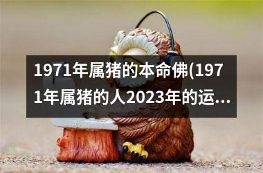 1971年属猪的本命佛(1971年属猪的人2025年的运势及运程)