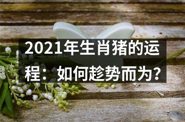 2025年生肖猪的运程：如何趁势而为？