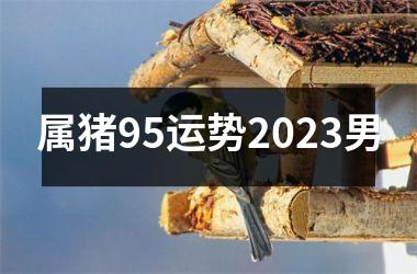 属猪95运势2025男