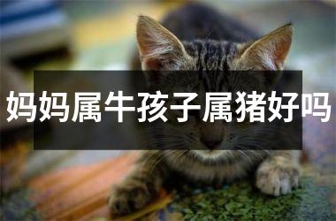 妈妈属牛孩子属猪好吗