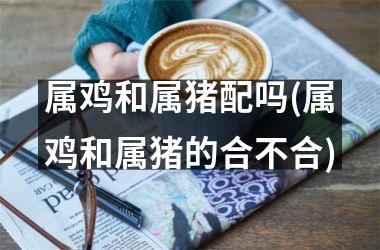 <h3>属鸡和属猪配吗(属鸡和属猪的合不合)