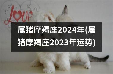 属猪摩羯座2024年(属猪摩羯座2025年运势)