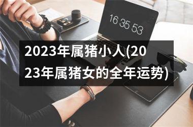 2025年属猪小人(2025年属猪女的全年运势)