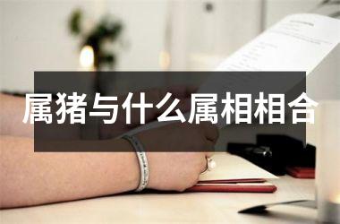 属猪与什么属相相合