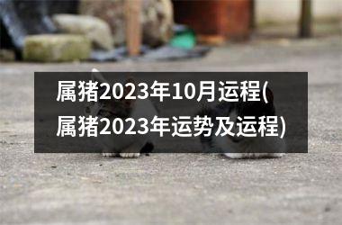 属猪2025年10月运程(属猪2025年运势及运程)