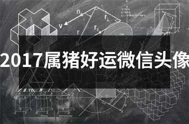 2017属猪好运微信头像