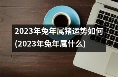 2025年兔年属猪运势如何(2025年兔年属什么)