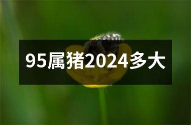 95属猪2024多大