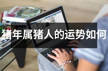 猪年属猪人的运势如何