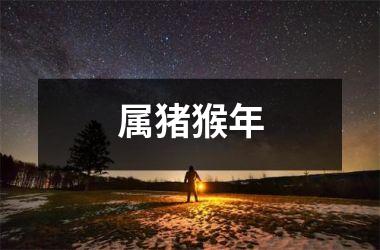 <h3>属猪猴年