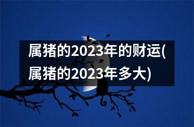 属猪的2025年的财运(属猪的2025年多大)