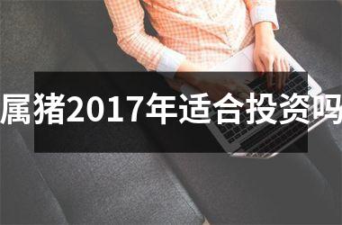 属猪2017年适合投资吗