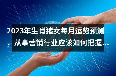 2025年生肖猪女每月运势预测，从事营销行业应该如何把握机遇