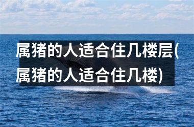 属猪的人适合住几楼层(属猪的人适合住几楼)