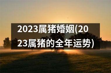 2025属猪婚姻(2025属猪的全年运势)