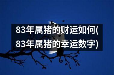 83年属猪的财运如何(83年属猪的幸运数字)