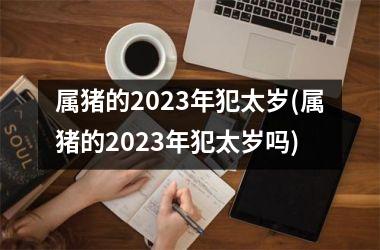 属猪的2025年犯太岁(属猪的2025年犯太岁吗)