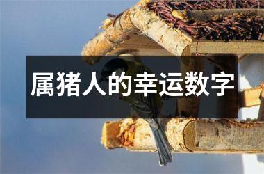 属猪人的幸运数字