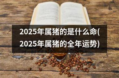 2025年属猪的是什么命(2025年属猪的全年运势)