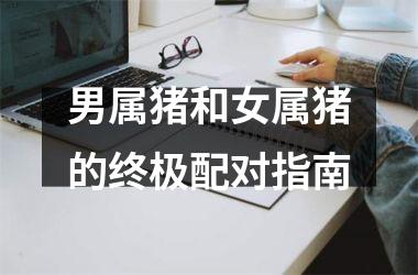 男属猪和女属猪的终极配对指南