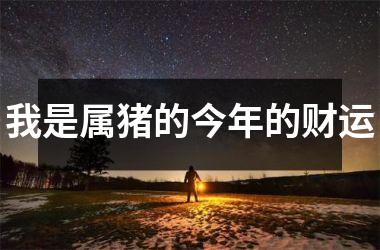 我是属猪的今年的财运