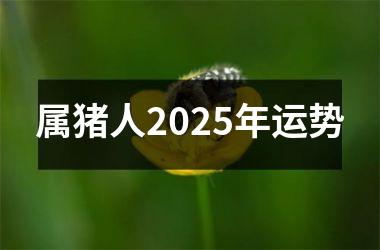 属猪人2025年运势