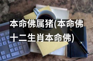 本命佛属猪(本命佛十二生肖本命佛)