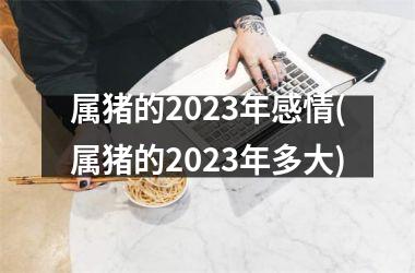 属猪的2025年感情(属猪的2025年多大)