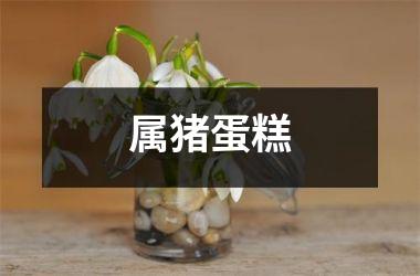 属猪蛋糕
