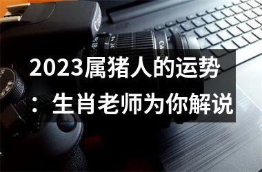 2025属猪人的运势：生肖老师为你解说