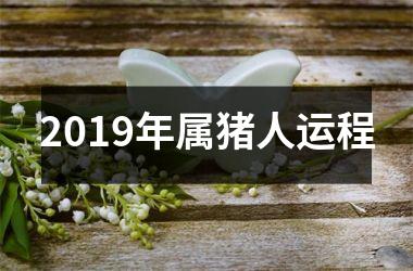 2019年属猪人运程