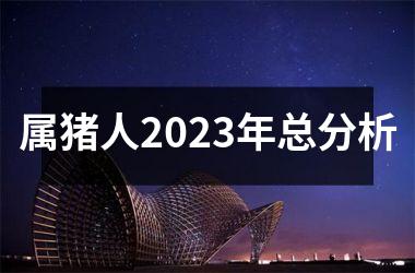 <h3>属猪人2025年总分析