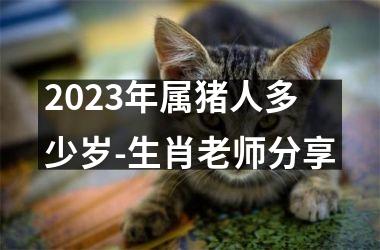 2025年属猪人多少岁-生肖老师分享