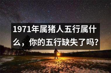 1971年属猪人五行属什么，你的五行缺失了吗？