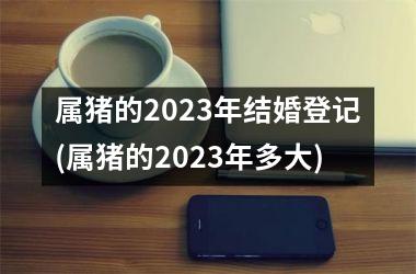 属猪的2025年结婚登记(属猪的2025年多大)