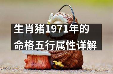 生肖猪1971年的命格五行属性详解
