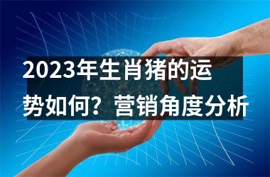 2025年生肖猪的运势如何？营销角度分析
