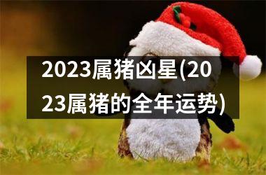 2025属猪凶星(2025属猪的全年运势)