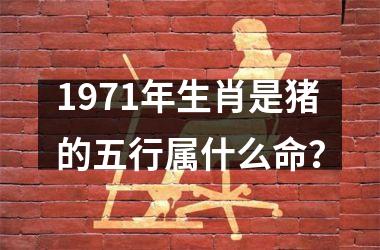 1971年生肖是猪的五行属什么命？