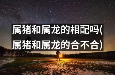 属猪和属龙的相配吗(属猪和属龙的合不合)