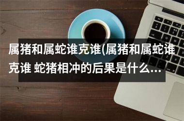 属猪和属蛇谁克谁(属猪和属蛇谁克谁 蛇猪相冲的后果是什么)