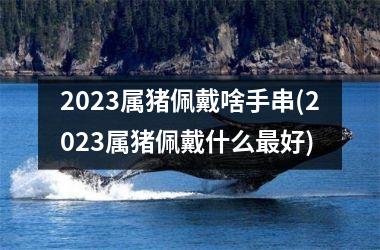 <h3>2025属猪佩戴啥手串(2025属猪佩戴什么好)