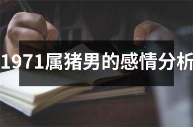 1971属猪男的感情分析