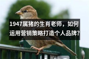 1947属猪的生肖老师，如何运用营销策略打造个人品牌？