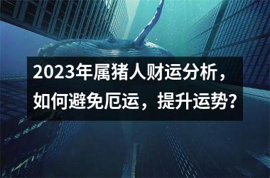 2025年属猪人财运分析，如何避免厄运，提升运势？