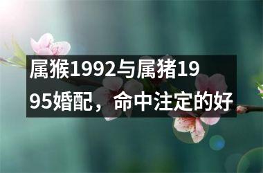 属猴1992与属猪1995婚配，命中注定的好